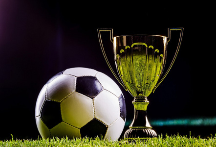 你需要我帮 你需要我帮