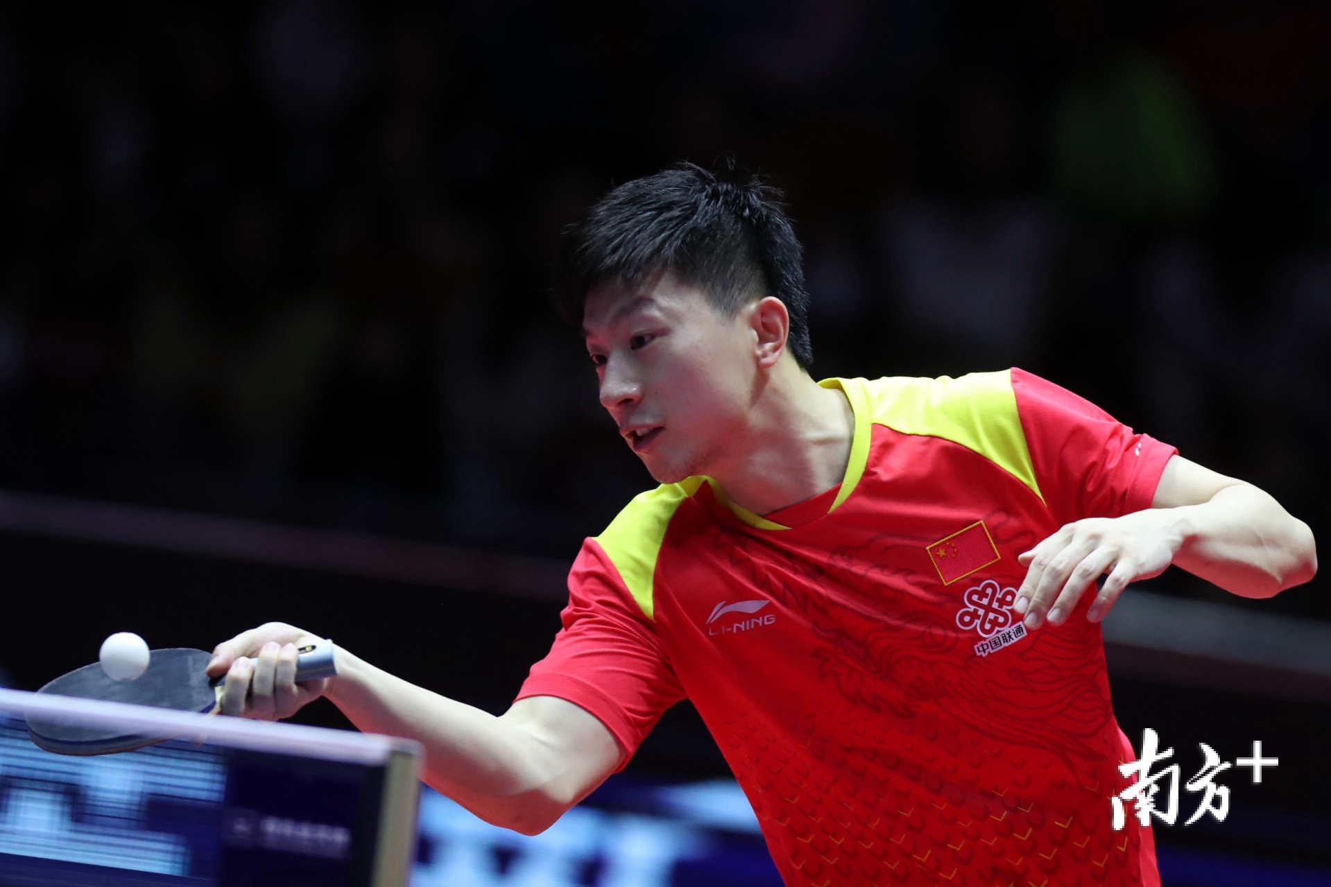 他们的两大 他们的两大