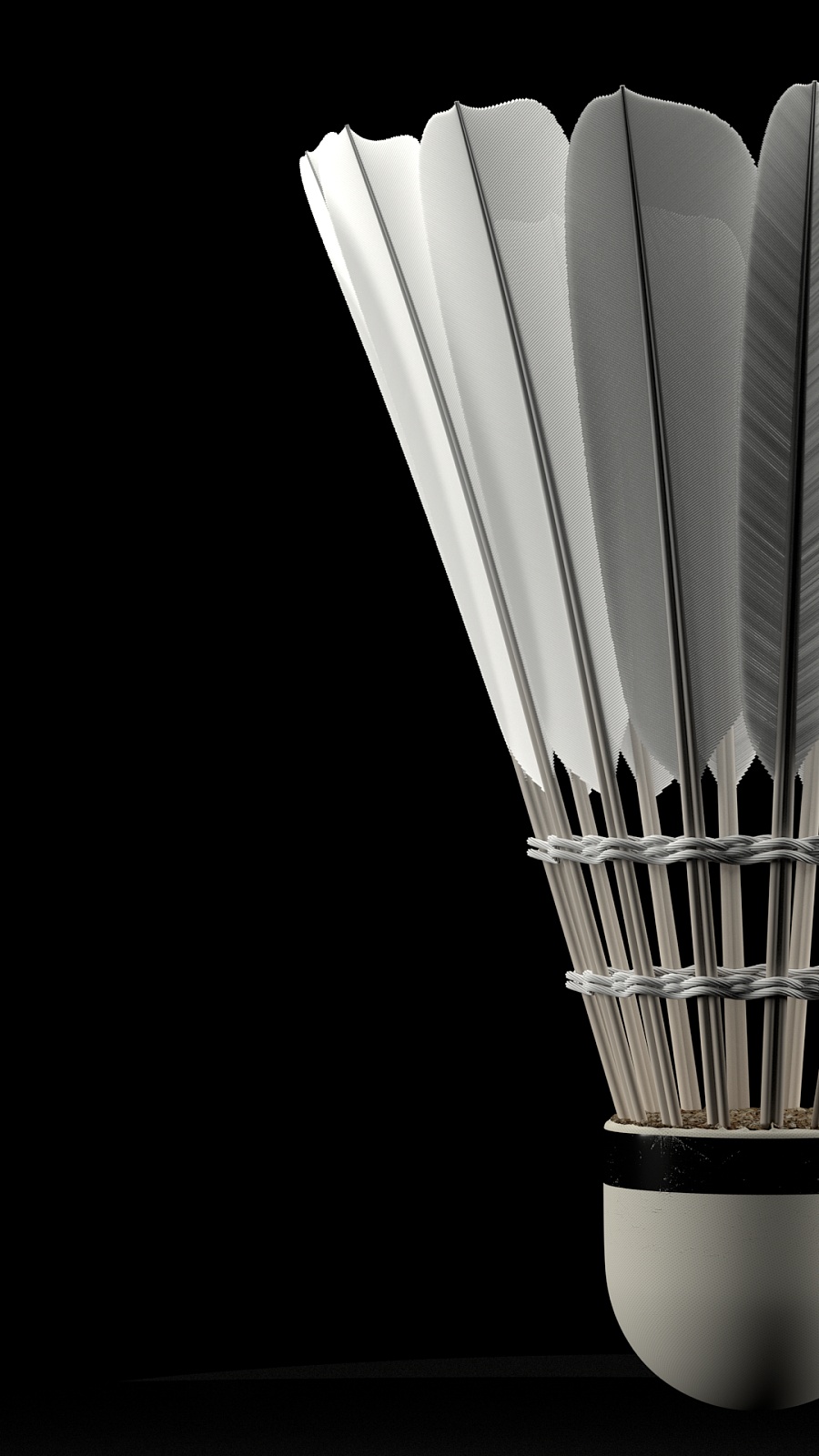 中坚力量 中坚力量