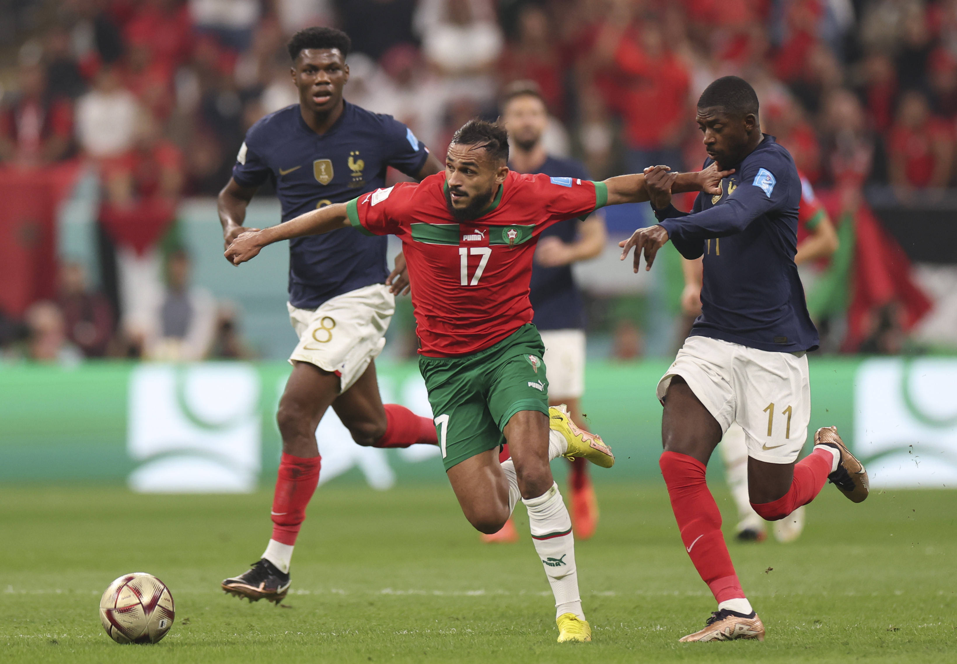 育迷与赛事 育迷与赛事