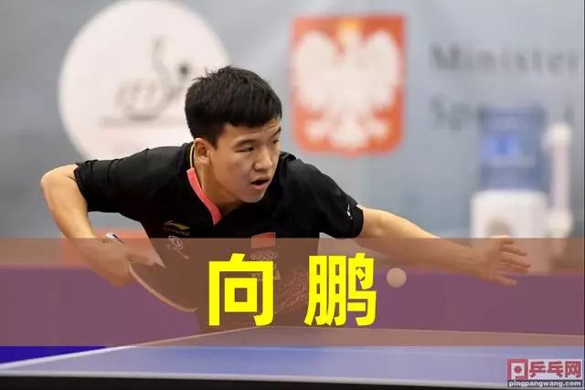 抓住 抓住